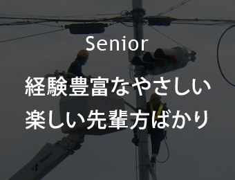 経験豊富なやさしい 楽しい先輩方ばかり
